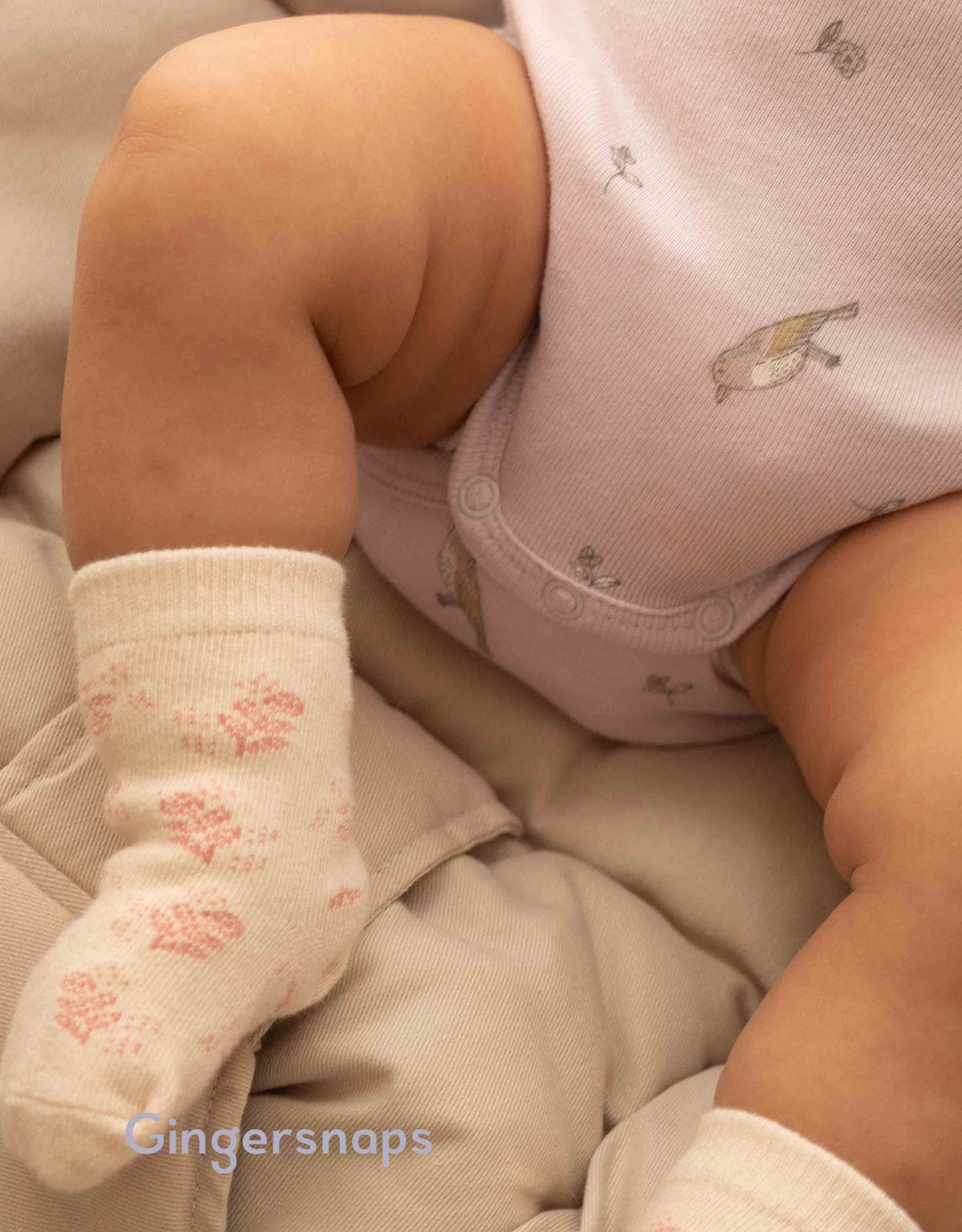 جينجرسنابس سالوبيت مواليد منقوش متعدد الألوان