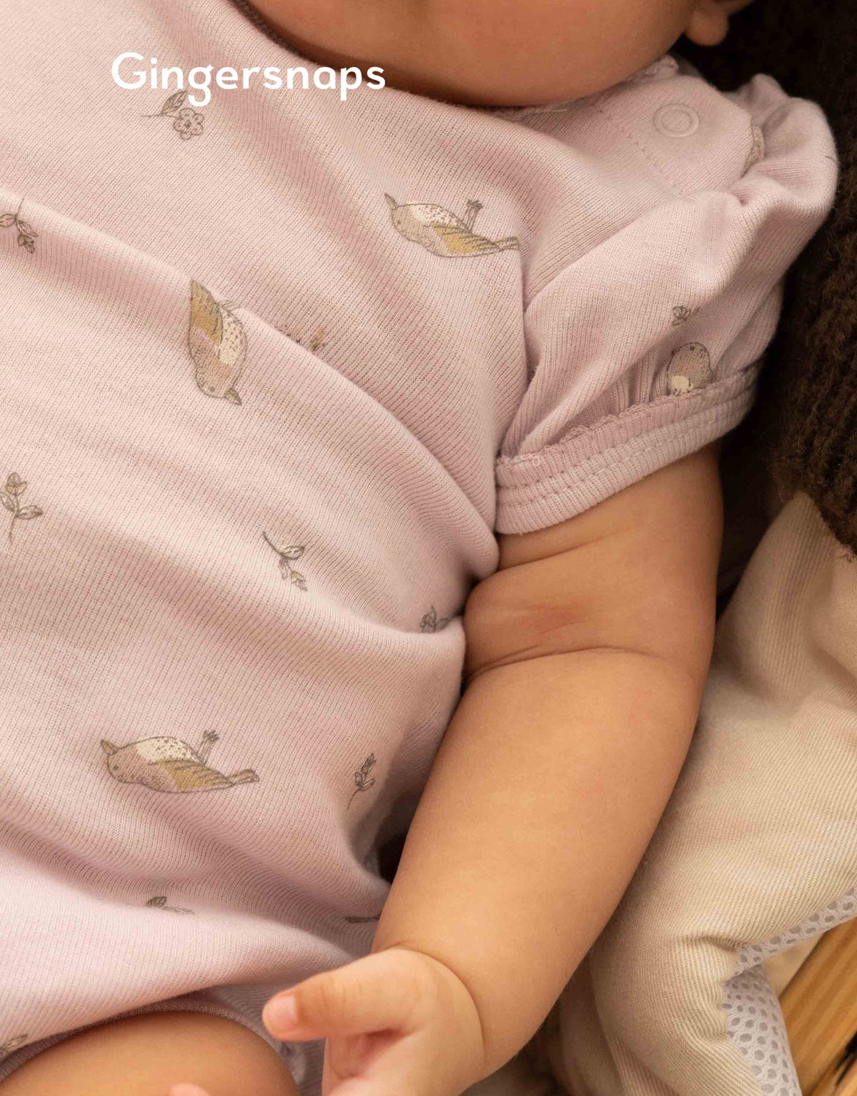 جينجرسنابس سالوبيت مواليد منقوش متعدد الألوان