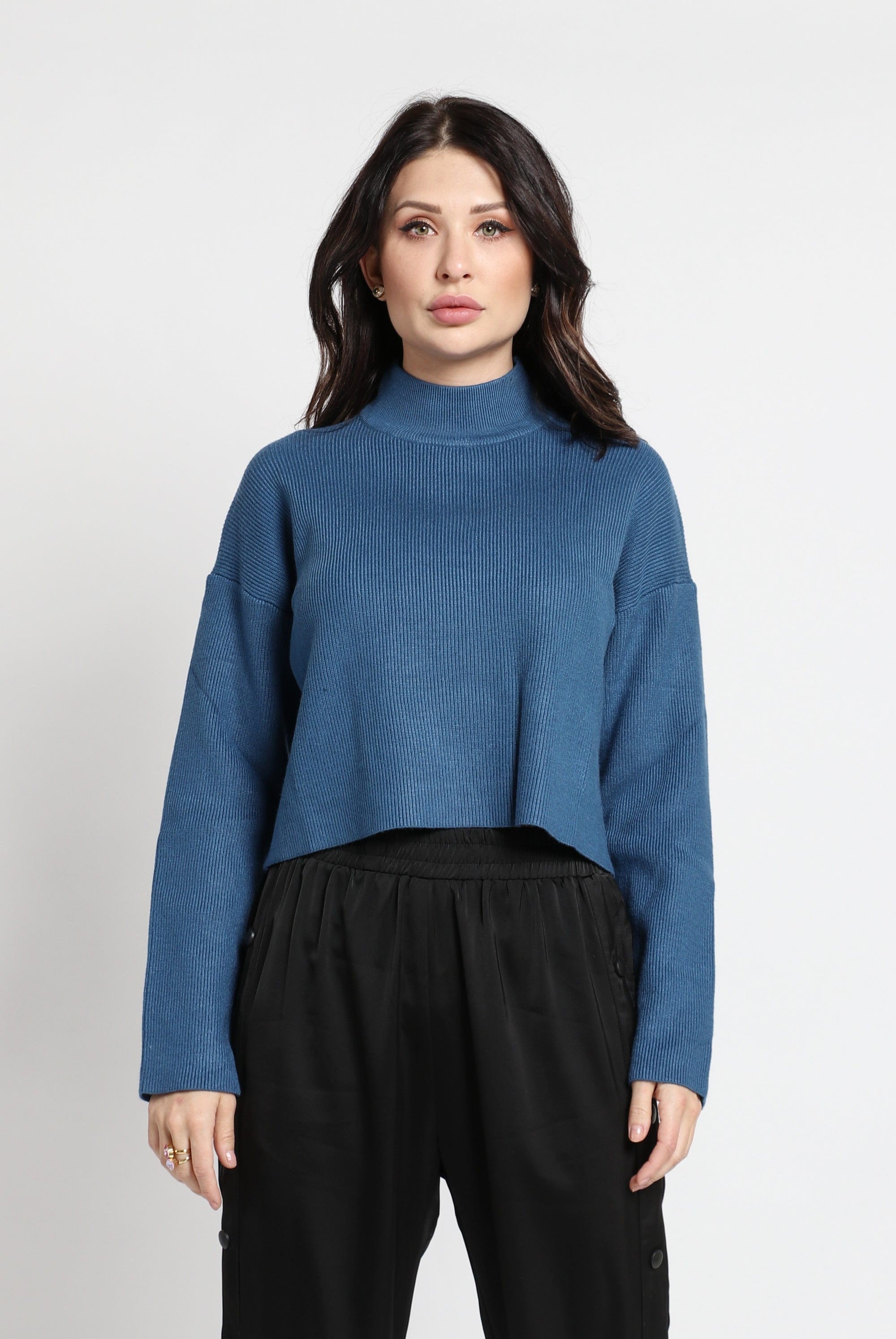 نتشي بلوفر أوفر سايز كروب بكم طويل وياقة عالية نسائي