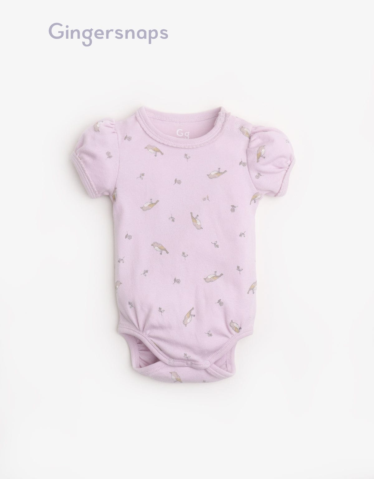 جينجرسنابس سالوبيت مواليد منقوش متعدد الألوان