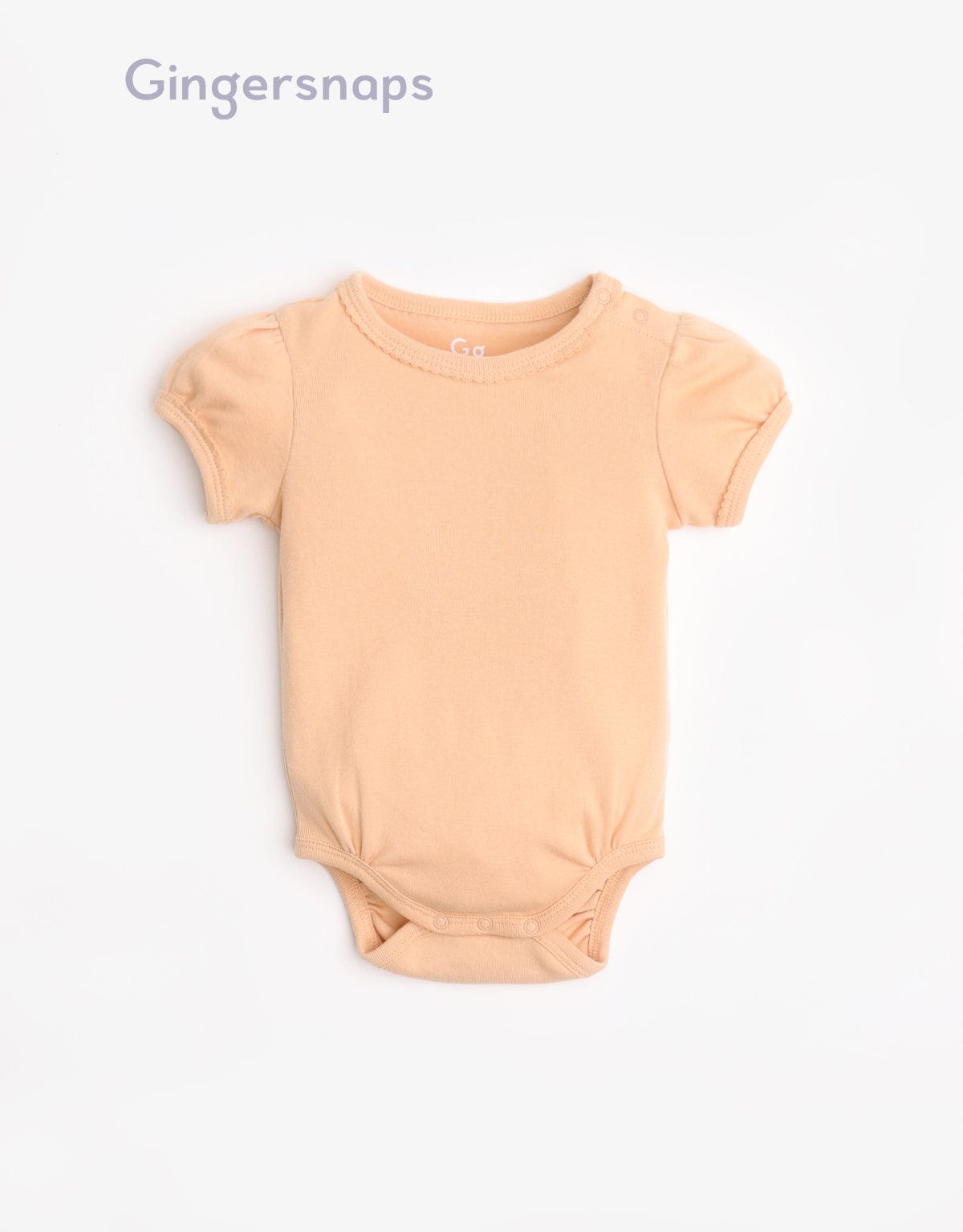 جينجرسنابس سالوبيت مواليد منقوش متعدد الألوان