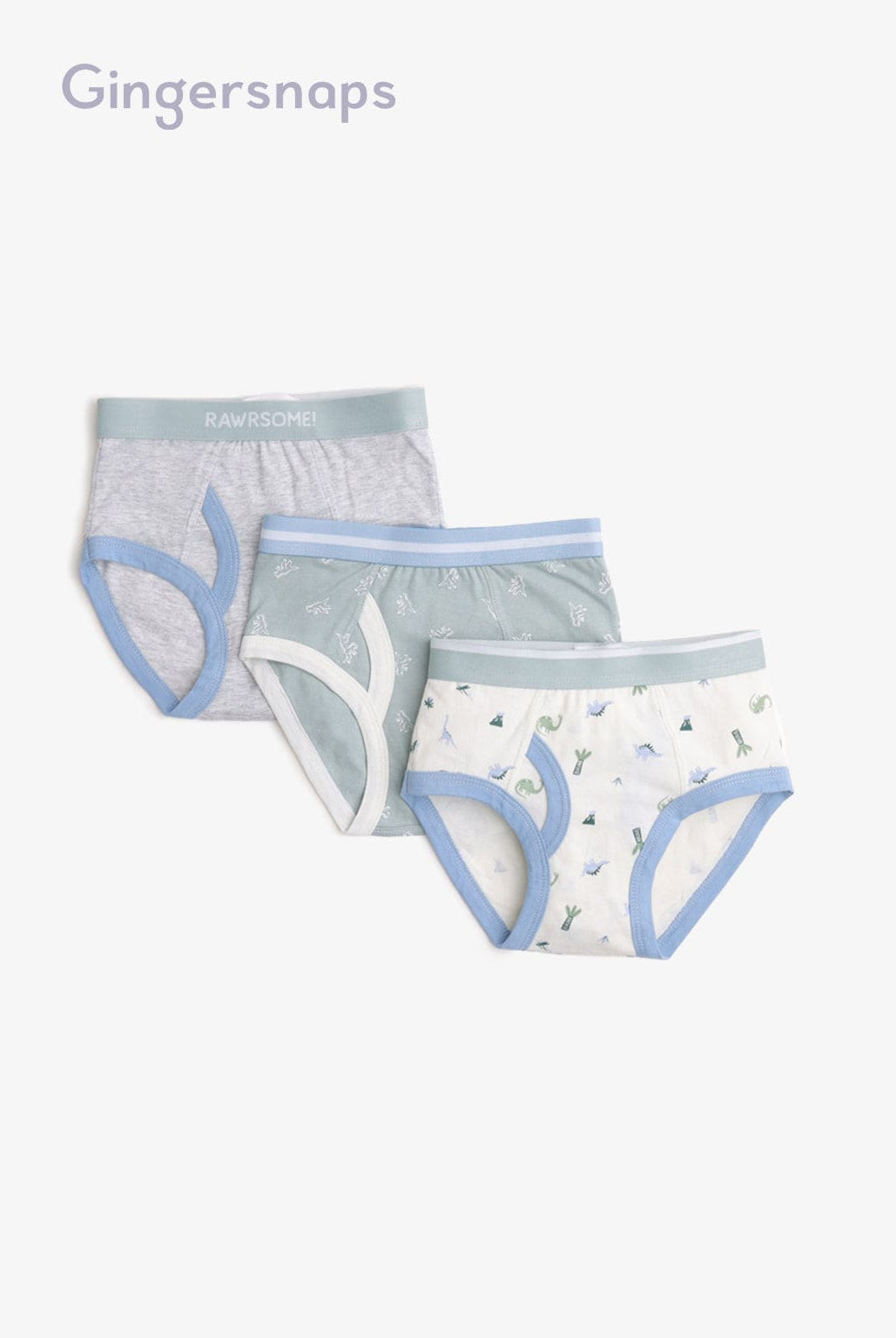 جينجرسنابس سراويل داخلية بألوان مختلفة أولادي أطفال متعدد الألوان