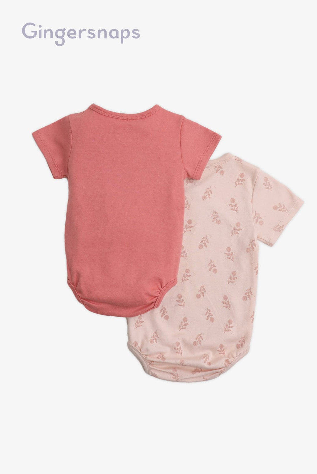 جينجرسنابس سالوبيت مواليد نص كم منقوش متعدد الألوان