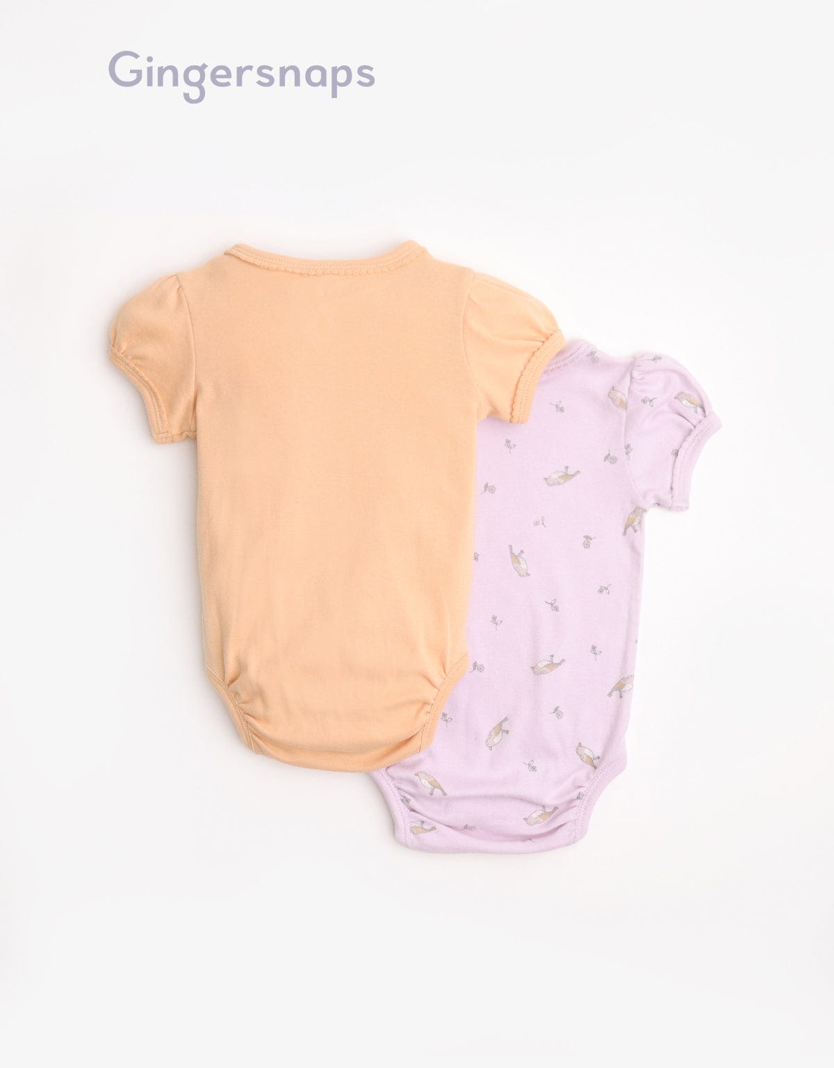 جينجرسنابس سالوبيت مواليد منقوش متعدد الألوان