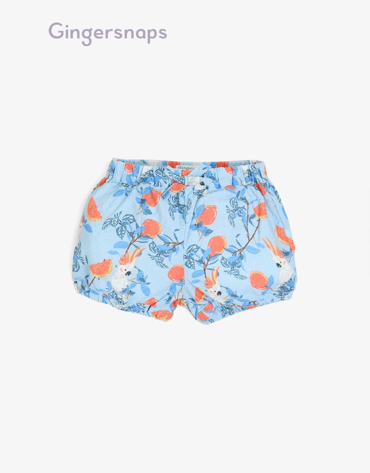جينجرسنابس شورت رضع بناتي بنمط رسومات طيور وزهور أزرق