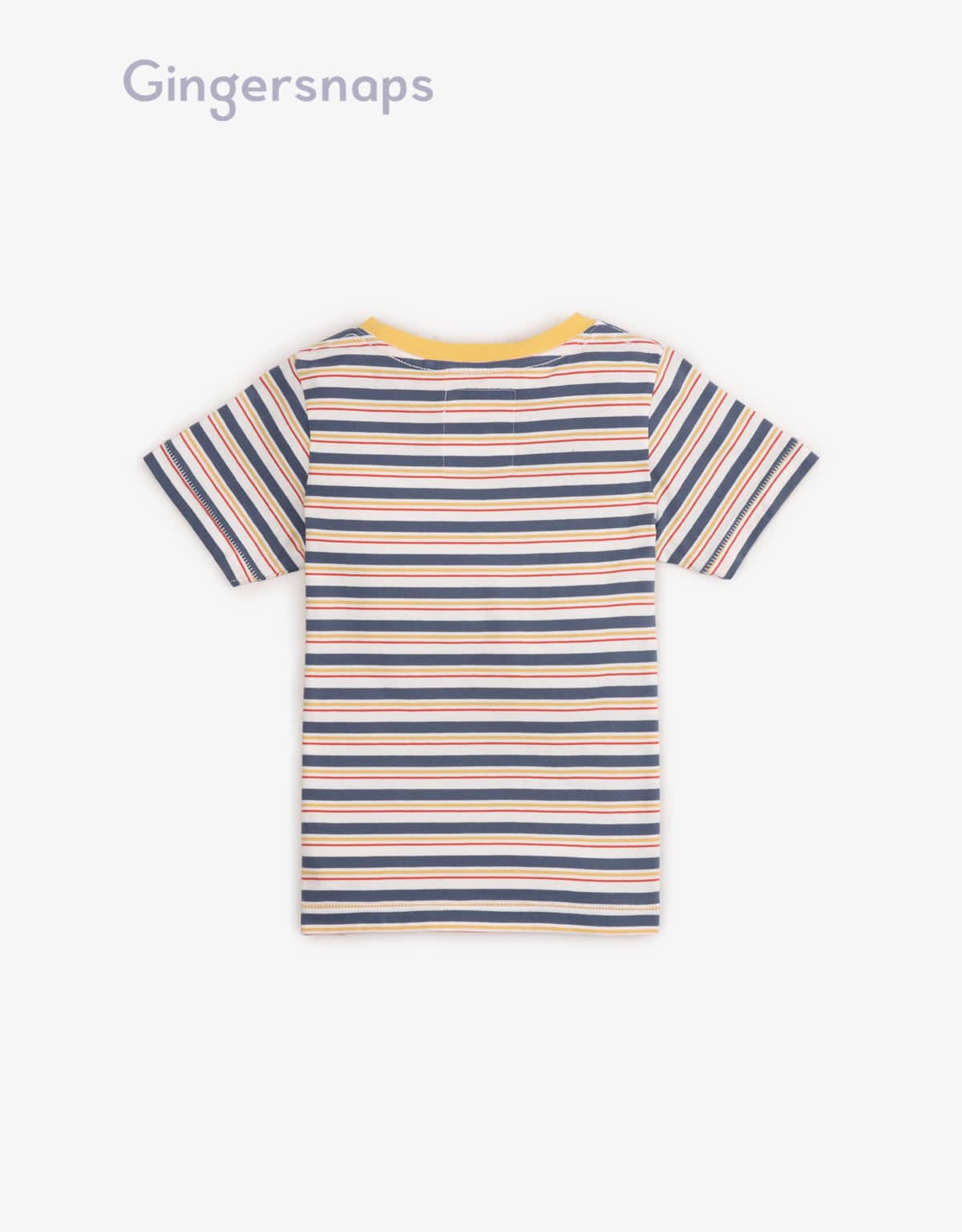 جينجرسنابس تي شيرت ولادي بالعرض نص كم متعدد الألوان