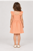 Gingersnaps gdr1792 back model image