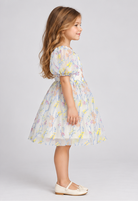 Gingersnaps gdr1919 right model image