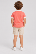 Gingersnaps ibpo0323 back model image