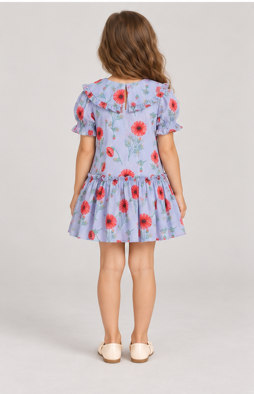 Gingersnaps igdr1082 back model image