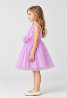 Gingersnaps igdr1098 left model image
