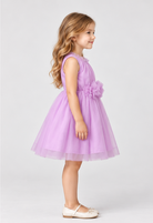 Gingersnaps igdr1098 right model image