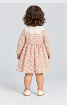 Gingersnaps igdr1113 back model image
