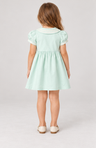 Gingersnaps igdr1120 back model image