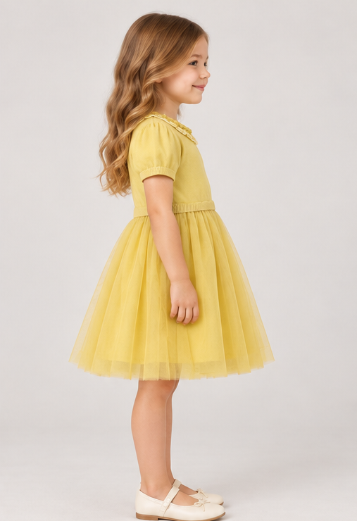 Gingersnaps igdr1131 right model image