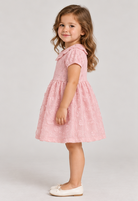 Gingersnaps igdr1168 left model image