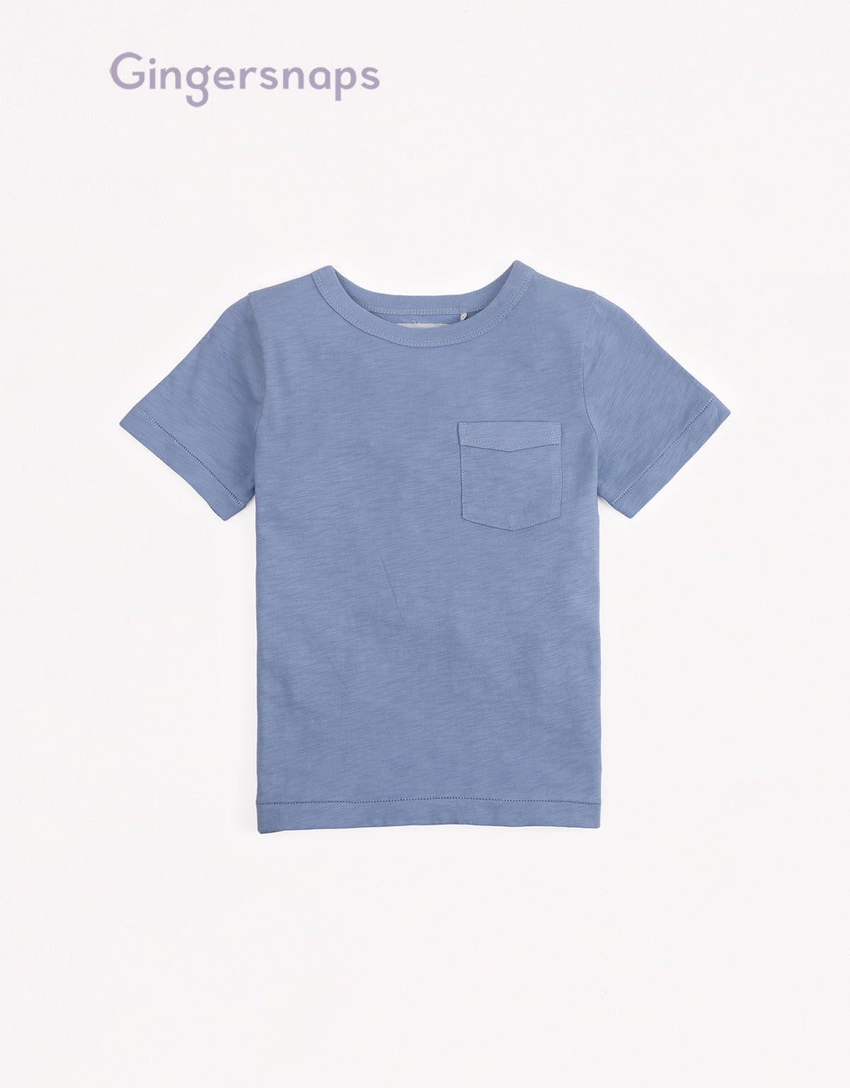 جينجرسنابس تيشيرت ولادي سادة بجيب على الصدر أزرق