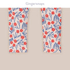 جينجرسنابس ليقنز بناتي مورد متعدد الألوان