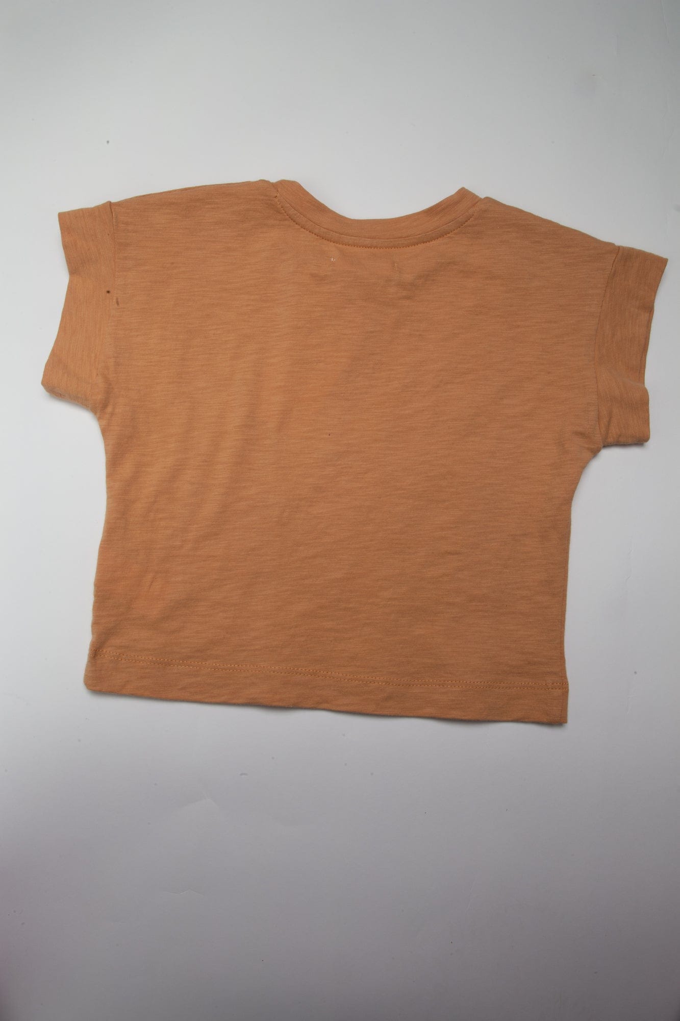 جينجرسنابس تي شيرت بنات بطبعة فواكة بني