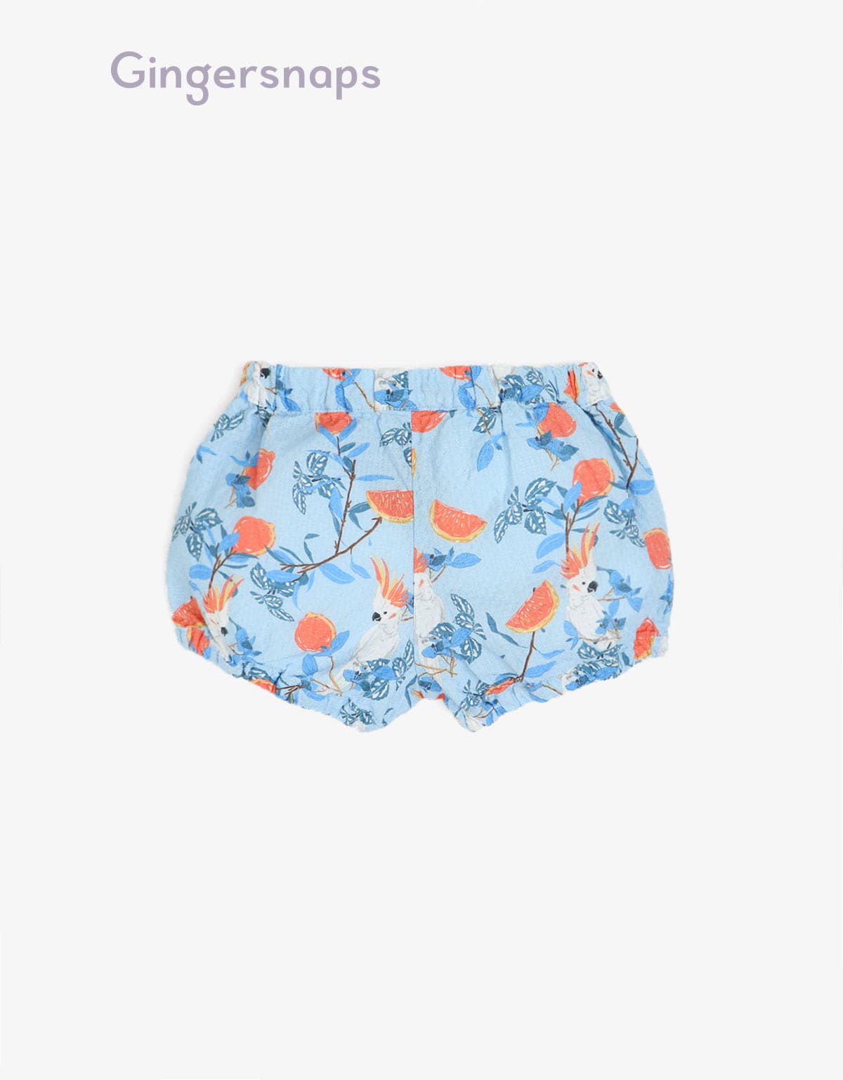 جينجرسنابس شورت رضع بناتي بنمط رسومات طيور وزهور أزرق